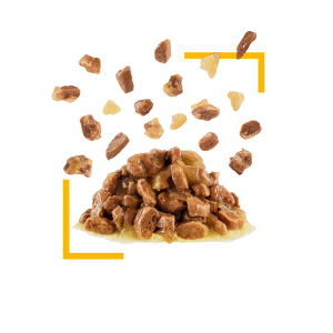 royal-canin-sensory-taste-