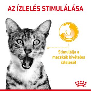 royal-canin-sensory-taste-