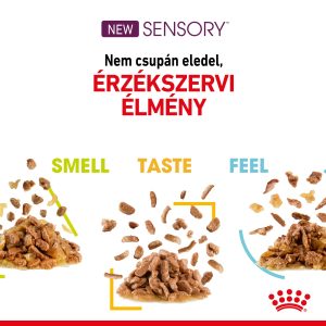 royal-canin-sensory-taste-