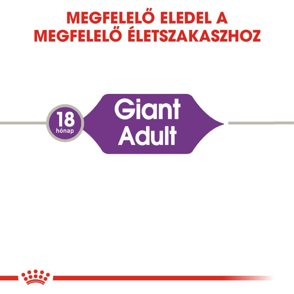 royal-canin-giant-adult-
