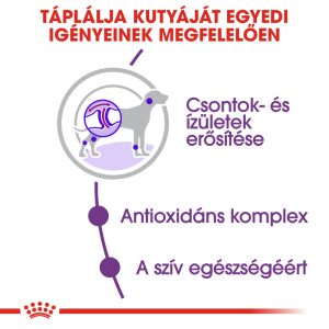 royal-canin-giant-adult-