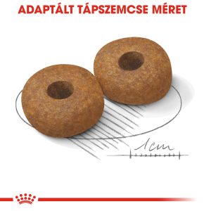 royal-canin-medium-ageing-10-