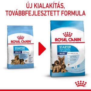 royal-canin-maxi-starter-