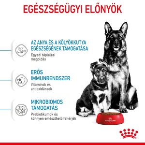 royal-canin-maxi-starter-