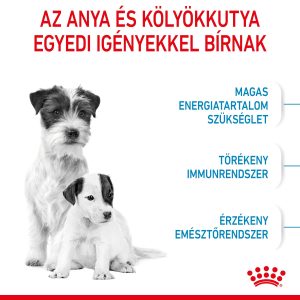 royal-canin-mini-starter-