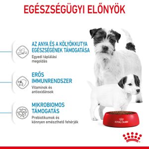 royal-canin-mini-starter-