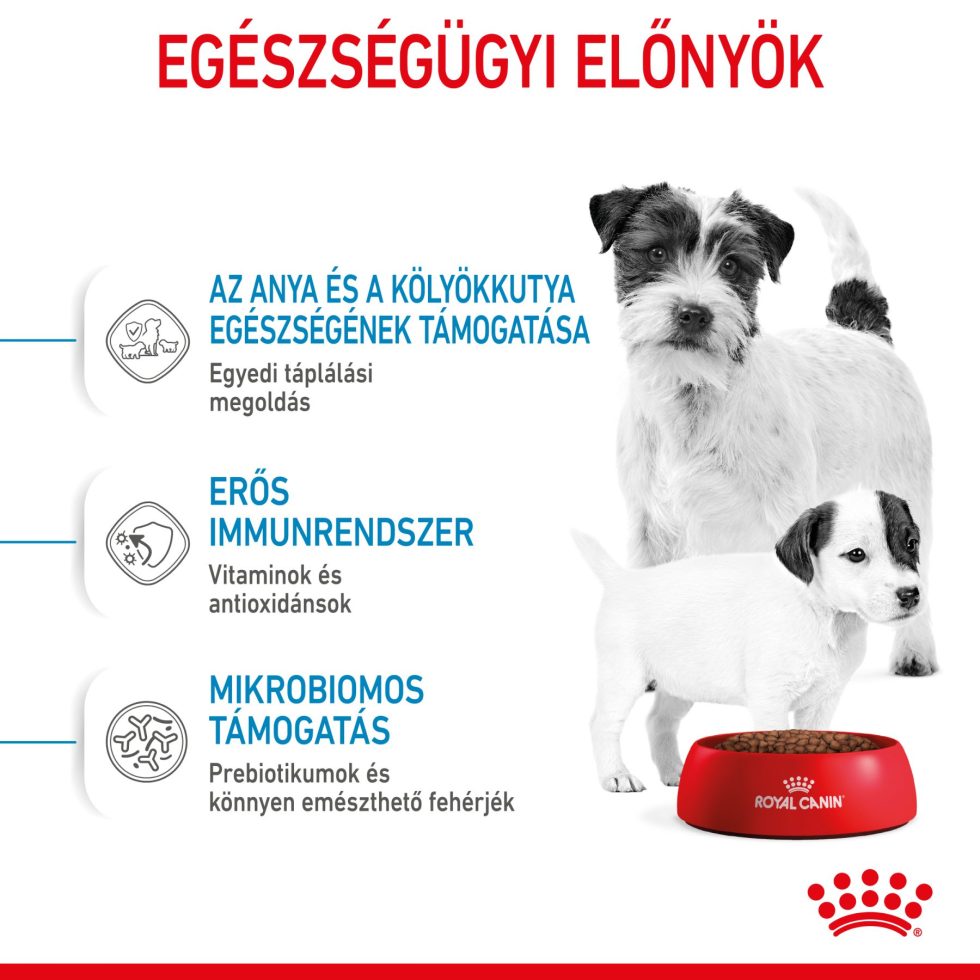 royal-canin-mini-starter-