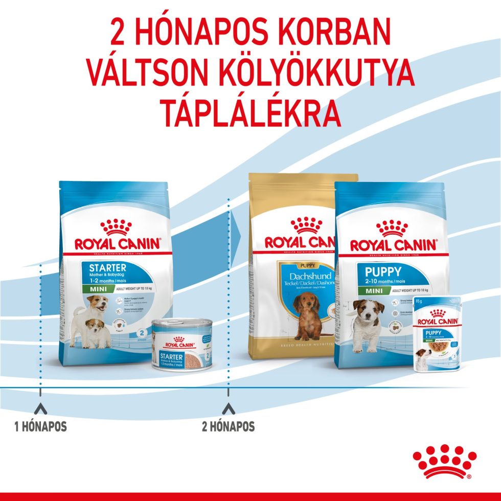 royal-canin-mini-starter-