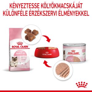 royal-canin-babycat-instinctive