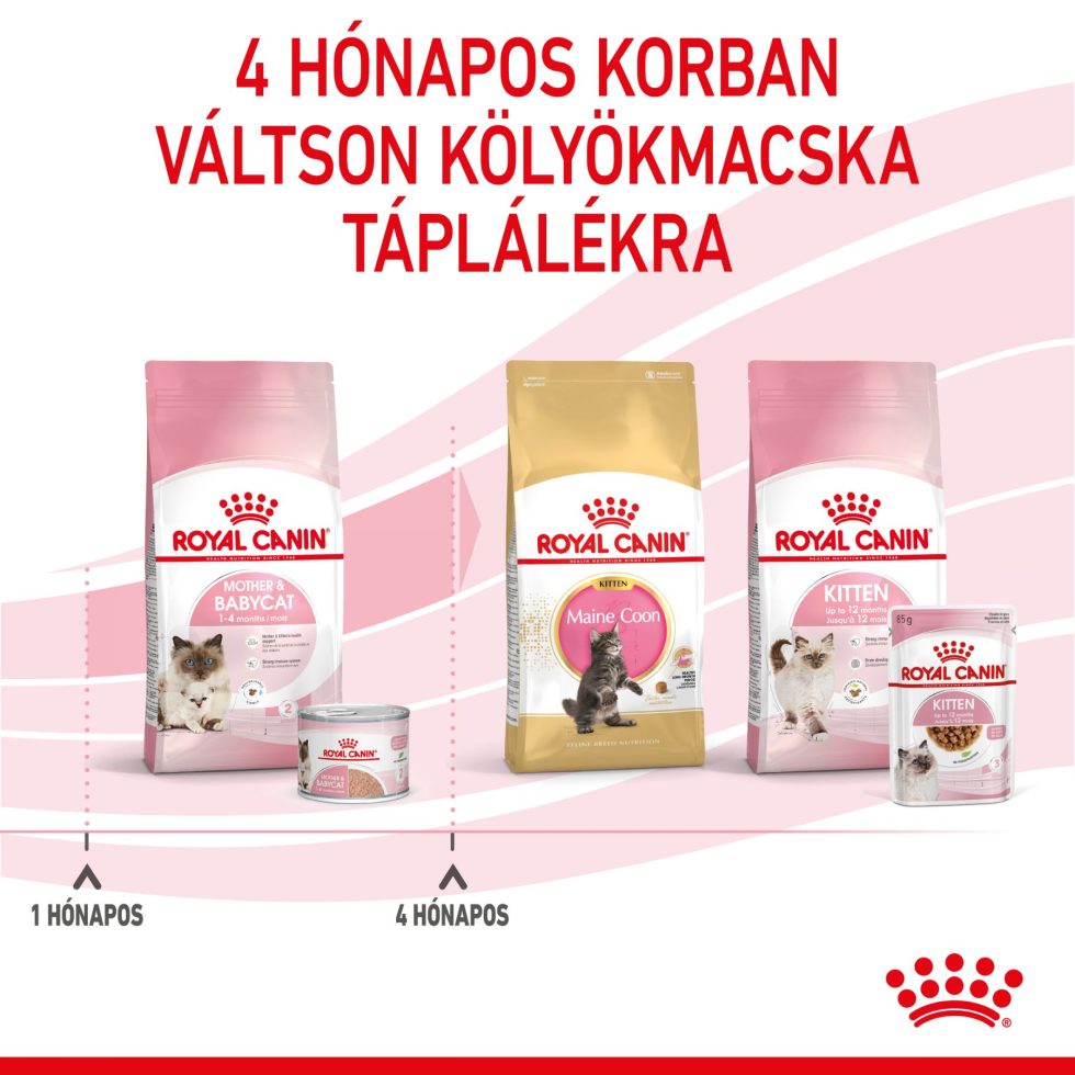 royal-canin-babycat-instinctive