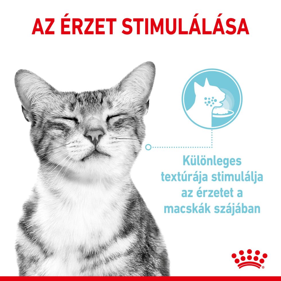 royal-canin-sensory-feel-