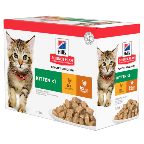 Hill's-Science-Plan-Kitten-